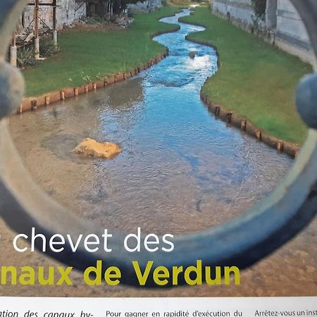 Au Chevet Des Canaux De Verdun Zewnętrze zdjęcie